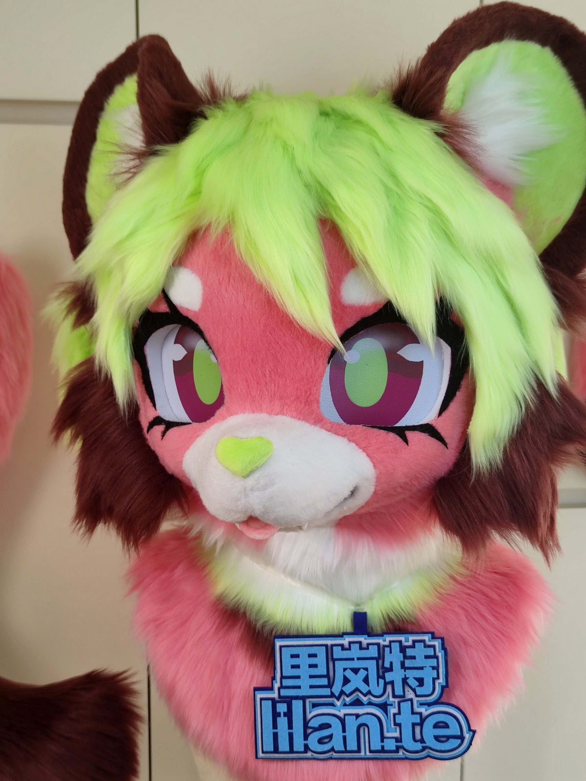 Mangosteen Bear kemono Head Fursuit (Gift Handpaws+Tail)